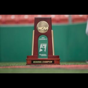 Meet your Posher, Donovan